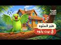 أغنية تَ تِ تُ في بيت الجدّه متّوه | 🦊 ثعلوب 🦜 والمتّوه