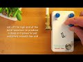 animals pedal surfing polar bear bass overdrive mod by bjf