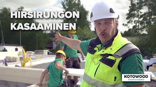 Hirsirungon kasaaminen | Hirsitalon pystytysnäytös | Kotowood Oy