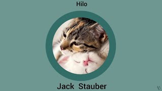 Jack Stauber - Complete Hilo Album