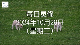 每日灵修2024年10月29日（星期二）腓立比书4章4至7节 (English translation in description box)