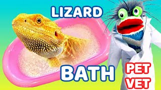 Fizzy the Pet Vet Helps Give a Bearded Dragon a Bath
