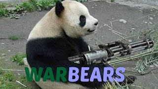 Warbears: Mission 1