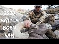 Nevada Bighorn Sheep Hunt - 2020 Battle Born Ram