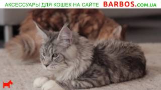 Игровые комплексы для кошек