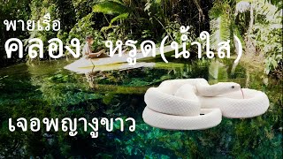 พายเรือที่คลองหรูด (เที่ยวกระบี่กับผองเพื่อนDay3) [LEAFANT TRAVEL EP.5]