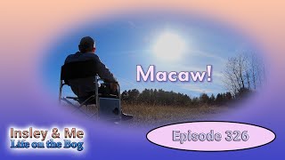 Life on the Bog • Ep. 326 - September 25-28, 2024