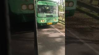 THalavadi To Kovai TNSTC Bus Crossing #forest #travel