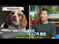 比格犬長期“迫害”家中同類，訓犬師卻說它是絕世好狗，結局令人意想不到