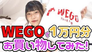 【1万円企画】WEGOで1万円分のお買い物したよ！