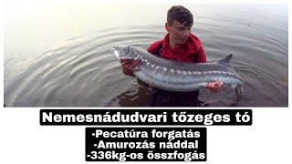 Nemesnádudvari tőzeges tó - amurozás náddal, Pecatúra forgatás | bojlis horgászat 9.rész