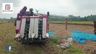 Yanmar combine harvester I AG600 I Mini combine harvester