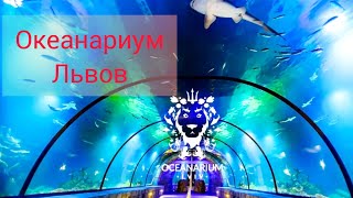 Океанаріум Львів 2022