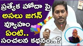 What Will Be The  Jagan Strategy Towards Ap Special Status | Excellent Analysis | Apcm,Ysrcp