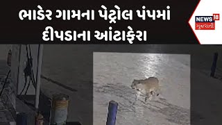 Amreli Leopard News | ભાડેર ગામના પેટ્રોલ પંપમાં દીપડાના આંંટાફેરા |Leopard Video |Forest Department