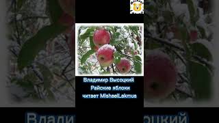 Владимир Высоцкий - Райские яблоки читает Mishael Lakmus