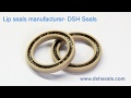 Lip seals manufacturer