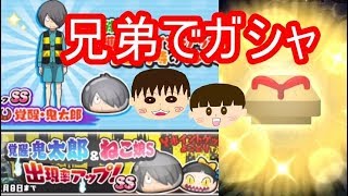 覚醒鬼太郎狙いで兄弟でガシャ！ゲゲゲの鬼太郎コラボガシャ！　妖怪ウォッチぷにぷに　シソッパ