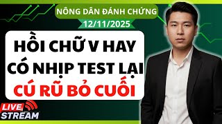 Chứng khoán hôm nay / Nhận định thị trường : Đáy chữ V hay có nhịp test lại ? Cú rũ bỏ cuối cùng