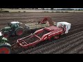 harvesting potatoes in south angus with grimme harvesters baillie farms