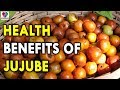 Health Benefits of Jujube - Summer Fruits and Its Health Benefits