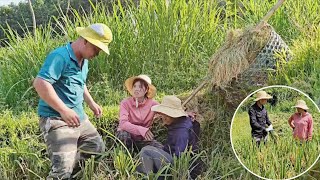The doctor got into trouble the first time he went to help his father-in-law harvest rice