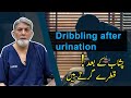 Dribbling after urine: | Urdu | | | Prof Dr Javed Iqbal |