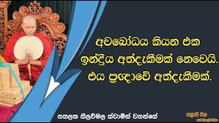 අවබෝධය කියන එක ඉන්ද්‍රිය අත්දැකීමක් නෙවෙයි.එය ප්‍රඥාවේ අත්දැකීමක්.2489Ven Hasalaka Seelawimala Thero