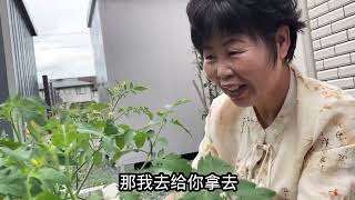 闺女在日本农村买房，老妈第一次参观满脸骄傲，直呼气派！