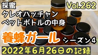 Vol.262〔養蜂記録〕シーズン４　ペットボトルに入れているもの。クレオハッチャン塗りました。採蜜しました。2022.6.26