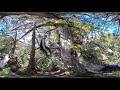 360 Canopy Tour - Episode 3: Fern Haven