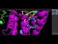 vitamin b3 niacin biosynthesis