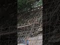 respect workers slope maintenance 斜坡維護 挑戰性的工作