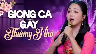 Album Trữ Tình Gây Mê Từ Trước Đến Nay - Phương Bích Thảo | LK Bolero Ngọt Ngào Gây Thương Nhớ