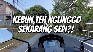 Kebun Teh Nglinggo Kulon Progo: Sekarang Sepi?