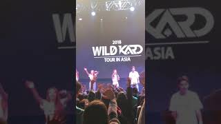 [4K] 180202 KARD / Ending @ WILD KARD TOUR in Taipei