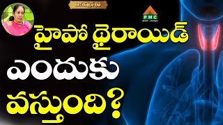 హైపో థైరాయిడ్ ఎందుకు వస్తుంది ? | Ayushmanbhava | PMC Health