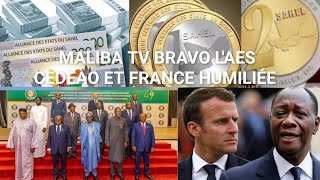 MALIBA TV: URGENT PANIQUE À LA CEDEAO ET FRANCE POUR LA FIN DU CFA L'ARRIVÉE DE LA MONNAIE SAHEL