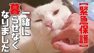 【保護犬 保護猫】ごめんね、一緒に暮らせなくなりました「vol 327 」