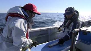 【釣り百景】#021 神奈川県相模湾　船から狙う！ヤリイカ・オニカサゴ