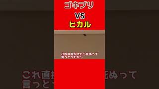 [切り抜き] ヒカルゴキブリが出て大発狂ww