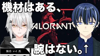 【コラボ配信】機材ヲタクなのにキーマウ初心者のヴァロ【新人Vtuber】【valorant】【ヴァロラント】#valorant