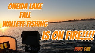 Oneida Lake Fishing Fall Walleye