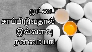 முட்டையை உணவாக உண்பதால் கிடைக்கும் நன்மைகள் | by dr.Anita | egg benefits | health benefits in tamil