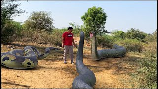 Anaconda Snake Attack in Real Life | Big anaconda snake in Real life | 7 HD Video VB FILM