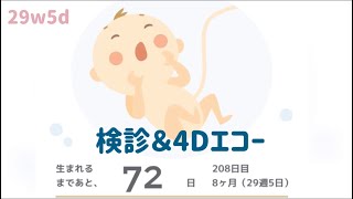 【29w5d】8ヵ月2Dエコー✨4Dも【健診＆4D】