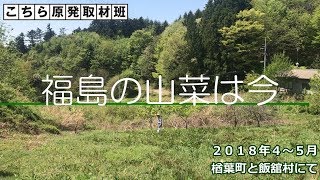 2018　福島の山菜は今　～楢葉町と飯舘村でセシウム調査～