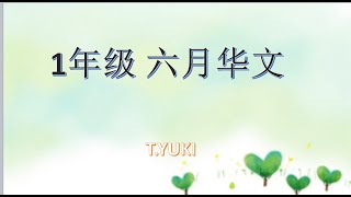 智阳 1年级“启发”@ 19/06/2020 华文作业：语法（量词）