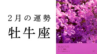 【牡牛座🫧2月の運勢】神からのメッセージ🕊️超重要な時期だからこそ伝えたいこと✨2025年タロット占い