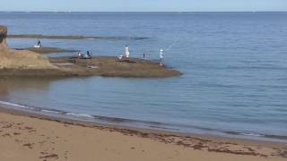 みなべ町目津崎地磯砂浜の釣り人